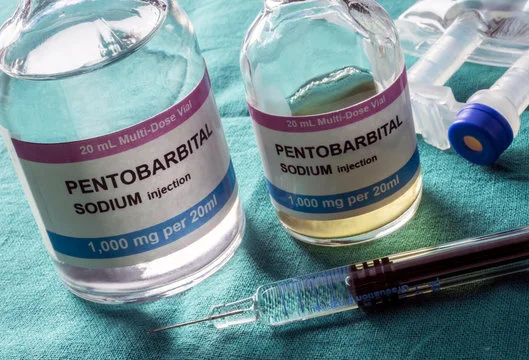 Read more about the article Pentobarbital sodium vendors online