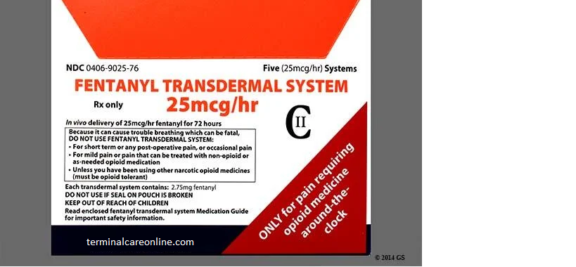 Fentanyl laboratories